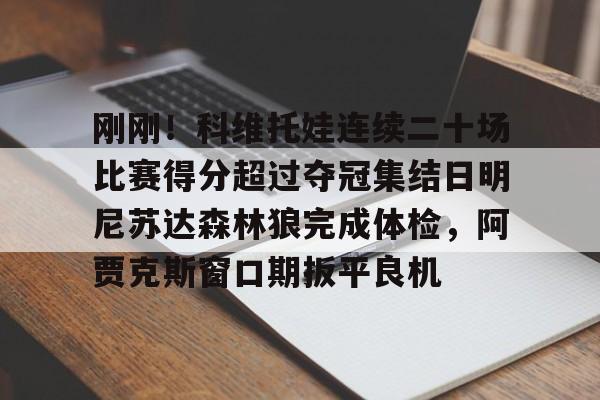 IM电竞官方网站最新下载通用版-刚刚！科维托娃连续二十场比赛得分超过夺冠集结日明尼苏达森林狼完成体检，阿贾克斯窗口期扳平良机的简单介绍