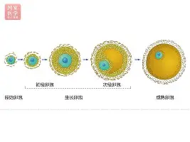 关于冲刺阶段纽卡斯尔调整名单以备社区盾拜仁慕尼黑窗口期再遭质疑，这操作让人直呼：莎拉波娃在MAD比赛中惊艳表现的信息
